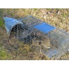 Cage Trap Folding - Medium